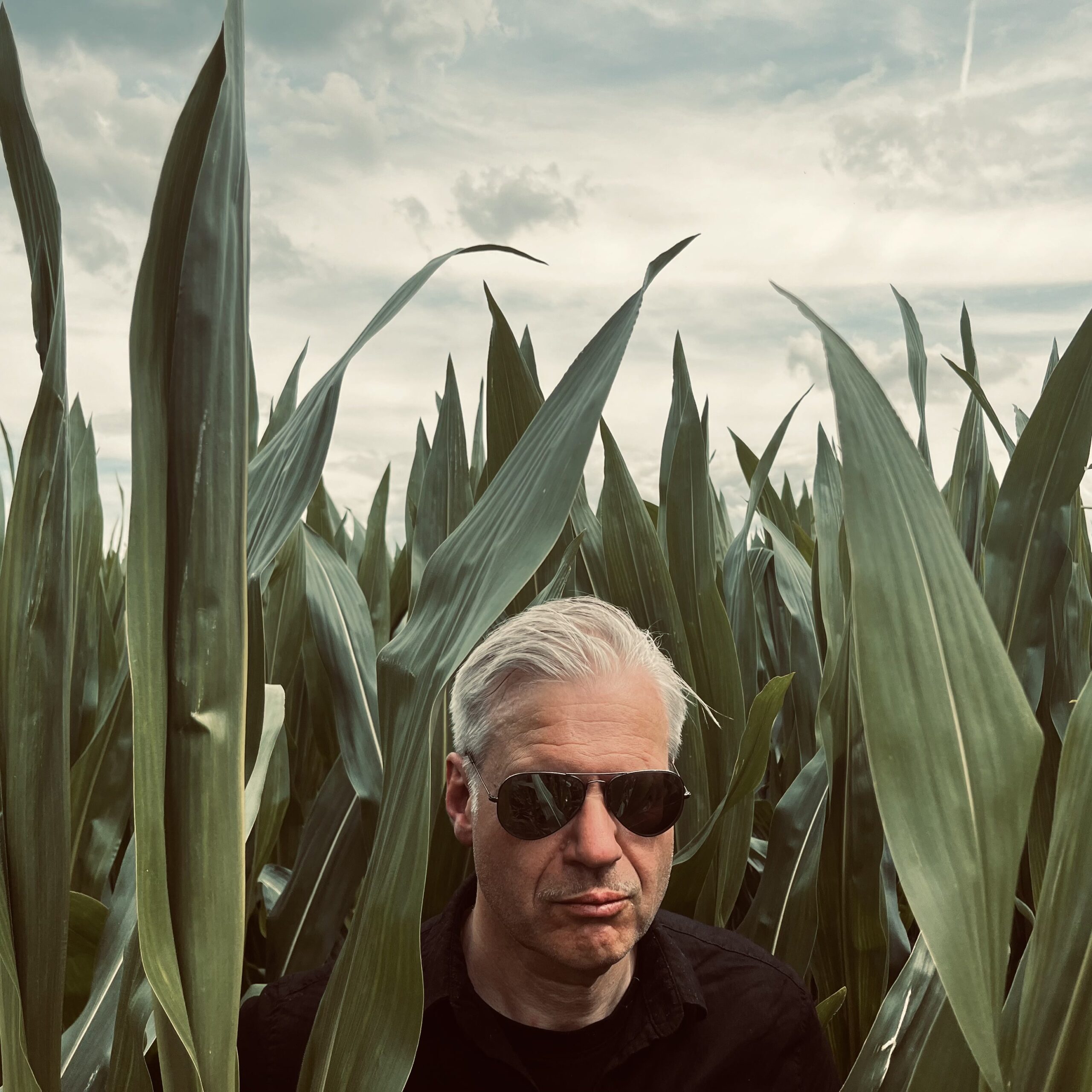 SCHATTENKIOSK Dark Summer